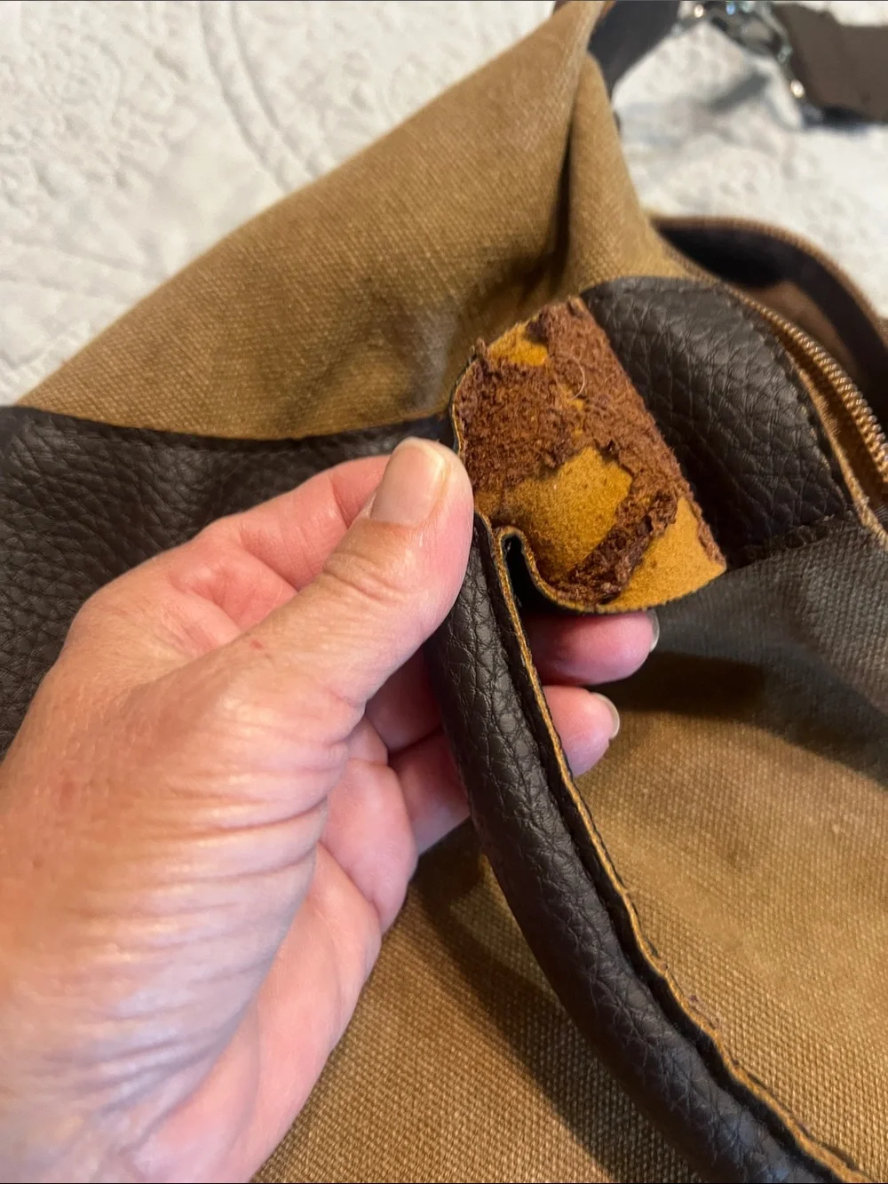Canvas and Leather-Trim Hobo Bag in Brown